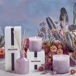 Midnight Cactus Classic Reed Diffuser