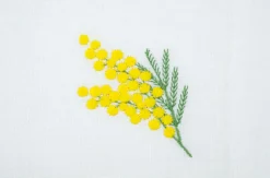 Mimosa Napkin and Placemat, Set of 2