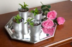 Mississippi Julep Cup