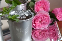 Mississippi Julep Cup