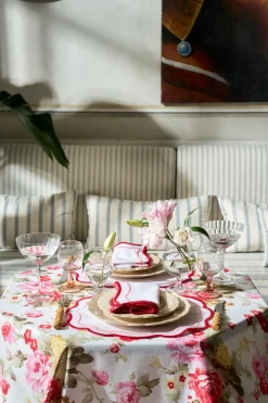 Morgan Placemat and Napkin Set in Pink