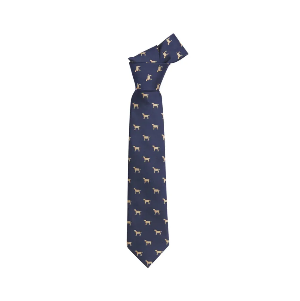Neck Tie in Lab