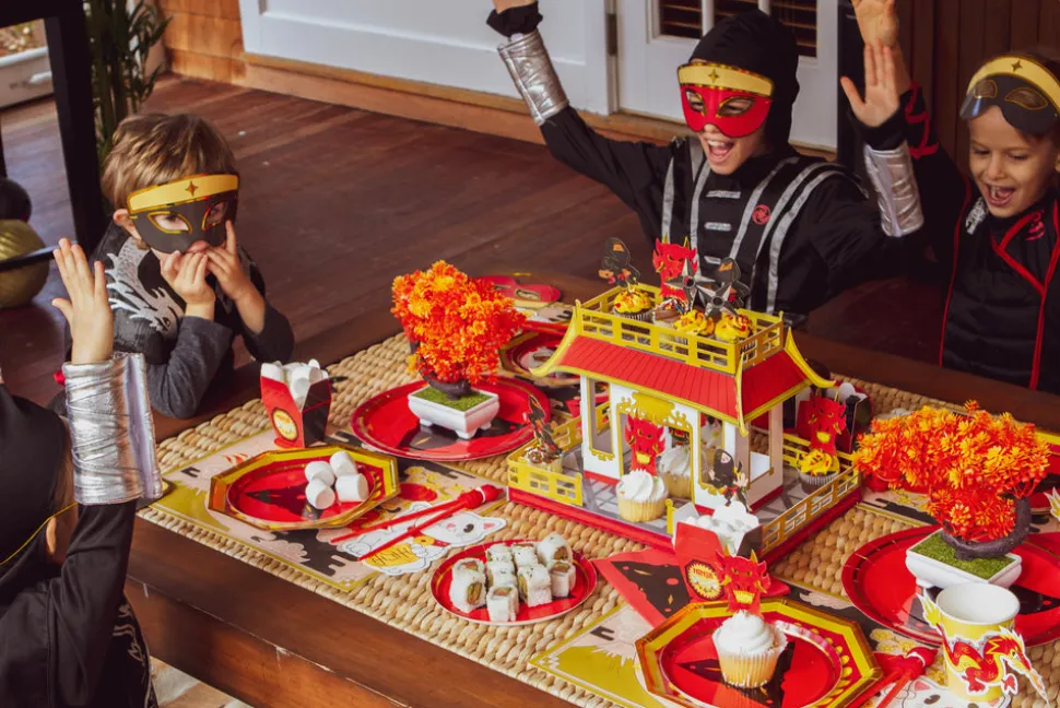 Ninja Dinner Plates