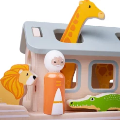 Noah's Ark