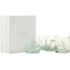 Octopus Double Old Fashion Glass in Gift Box, Set of 4