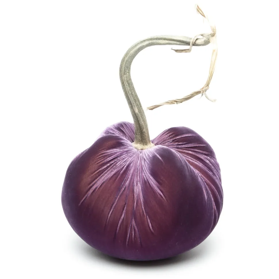 Orchid Silk Velvet Pumpkin