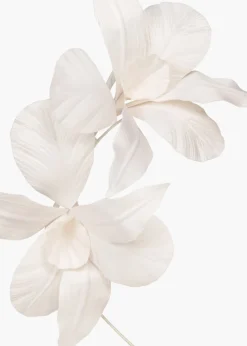 Orchid Vine Headband in Cream