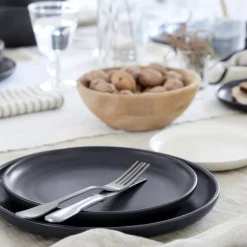 Pacifica Collection Dinner Plates in Seed Grey, Set of 6