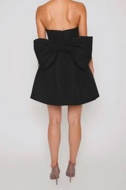 Paige Silk Faille Full Mini Dress