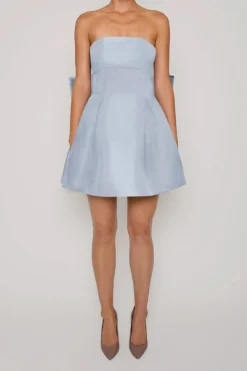 Paige Silk Faille Full Mini Dress