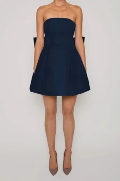 Paige Silk Faille Full Mini Dress