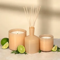 Paloma Melon Classic Candle