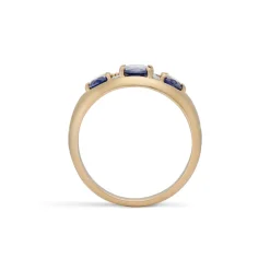Paloma Sapphire and Diamond Ring