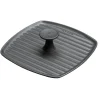 Panini Press