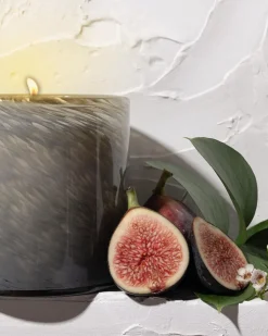 Paradiso Fig Signature Candle