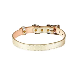 Pebble Grain Leather Dog Collar