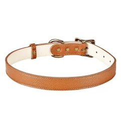 Pebble Grain Leather Dog Collar