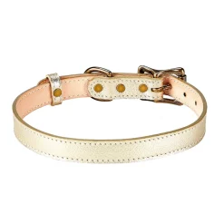 Pebble Grain Leather Dog Collar