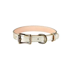 Pebble Grain Leather Dog Collar