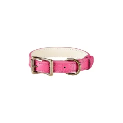 Pebble Grain Leather Dog Collar