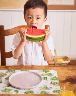 Placemat in Monkey Maze