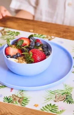 Plates in Blue, Set of 4
