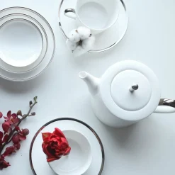 Platinum Edge Set of 2 Cup and Saucer