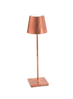 Poldina Pro