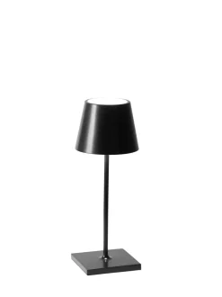 Poldina Pro Mini