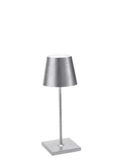 Poldina Pro Mini