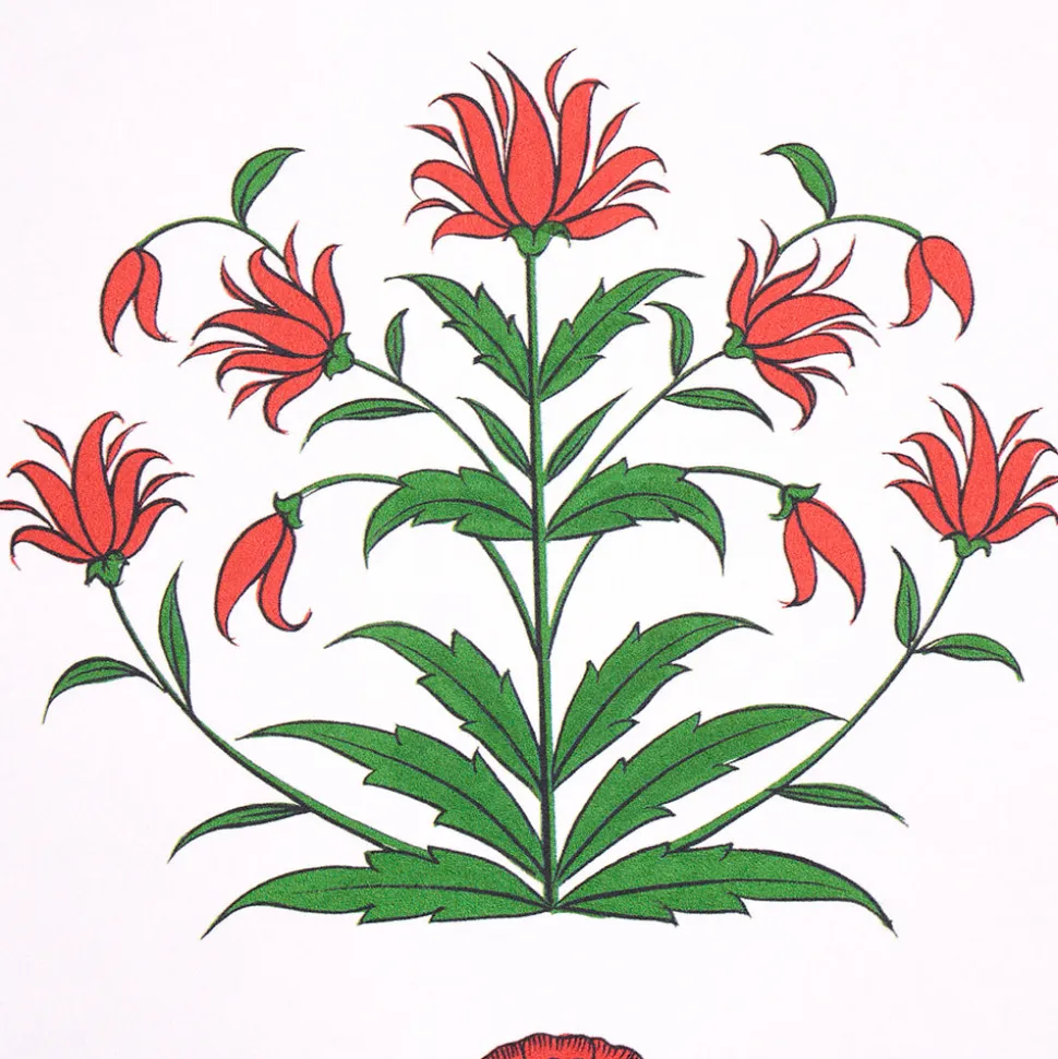 Poppy Stripes Wallpaper in Red