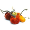 Pumpkin Patch, 012