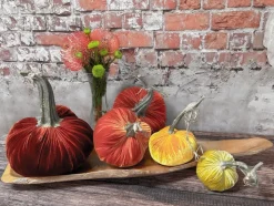 Pumpkin Patch, 012