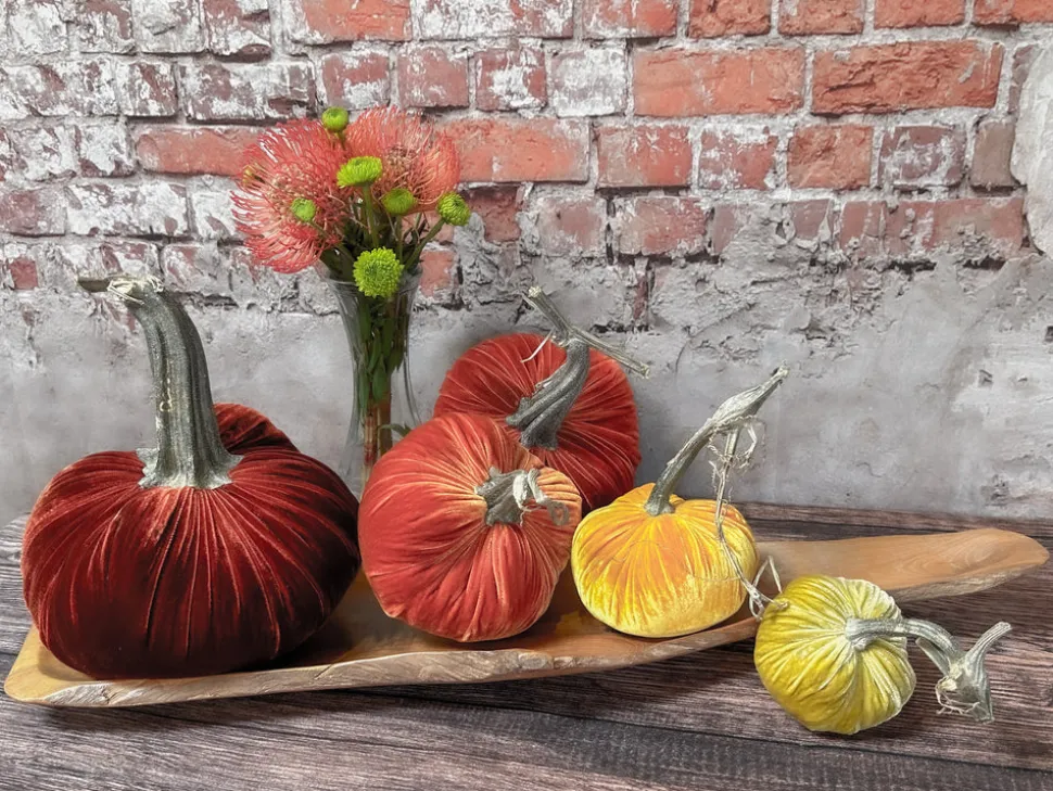 Pumpkin Patch, 012