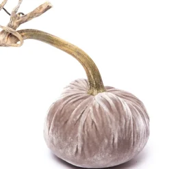 Putty Silk Velvet Pumpkin