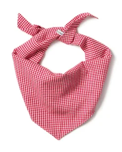 Red Mini Gingham Dog Bandana