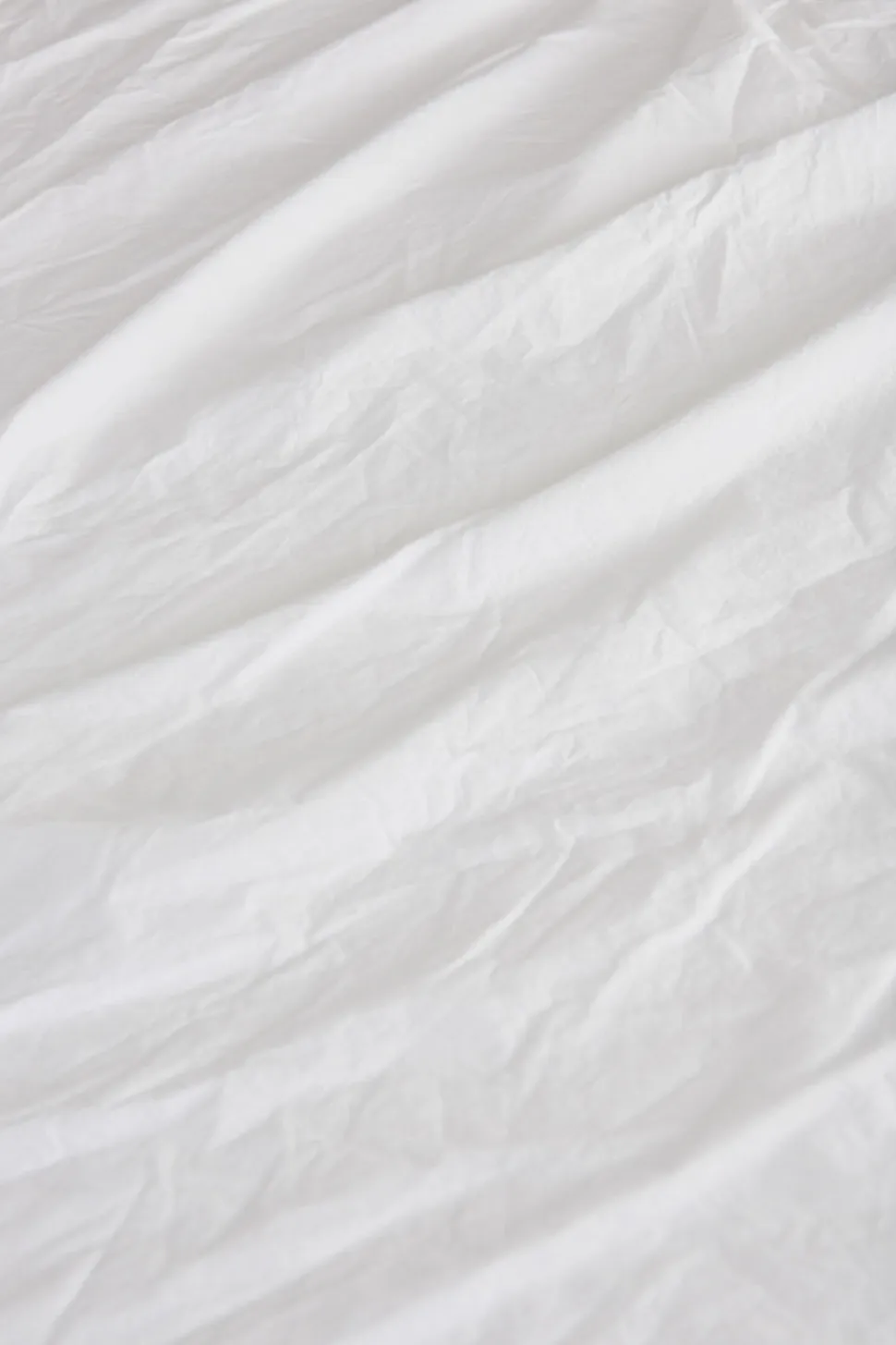 Relaxed Percale Euro Sham, Set of 2