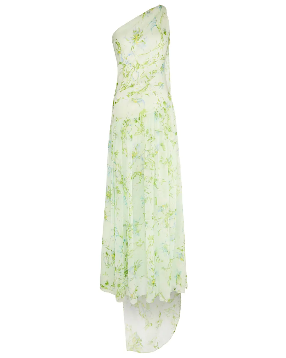 Remy Dress in Celadon Bloom Silk Chiffon