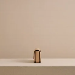 Romy Clutch in Box Calf Palmellato Natural