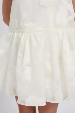 Rose Fil Coupé Mini Dress