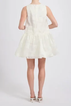 Rose Fil Coupé Mini Dress