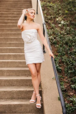 Rose Taffeta Dress