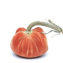 Salmon Silk Velvet Pumpkin