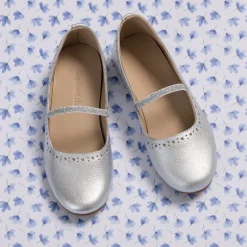 Sasha Ballerina Flat Silver