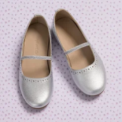 Sasha Ballerina Flat Silver