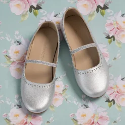 Sasha Ballerina Flat Silver