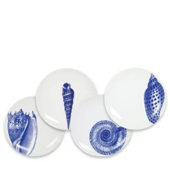 Shells Canapé Plates Boxed, Set of 4