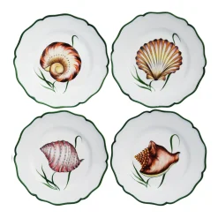 Shells Dinner Plate in Multi, Set of 4