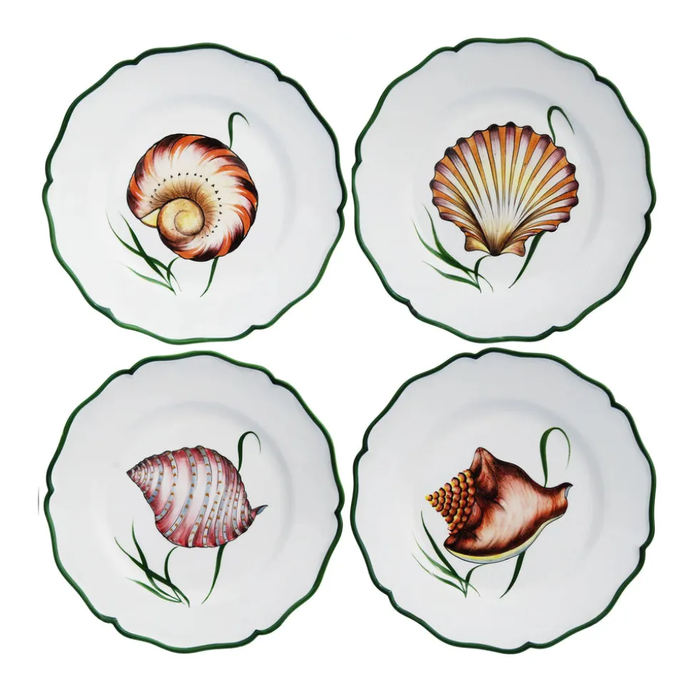 Shells Dinner Plate in Multi, Set of 4