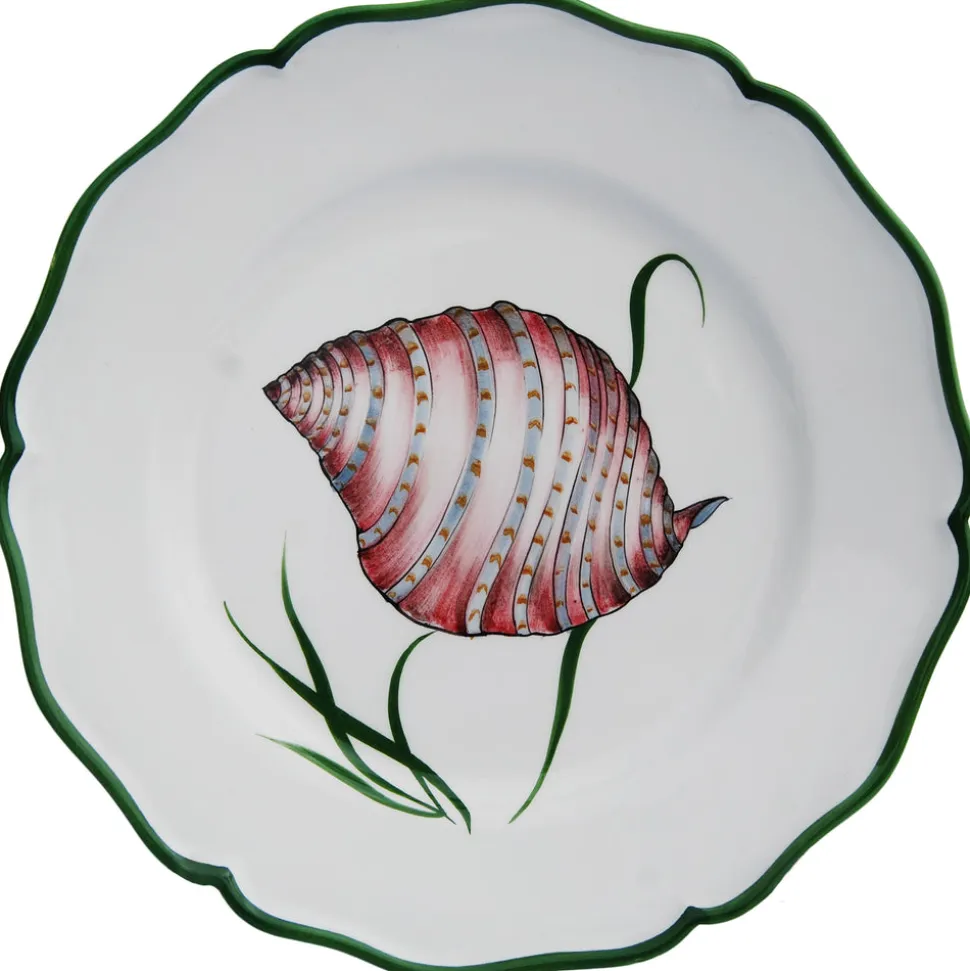 Shells Dinner Plate in Multi, Set of 4